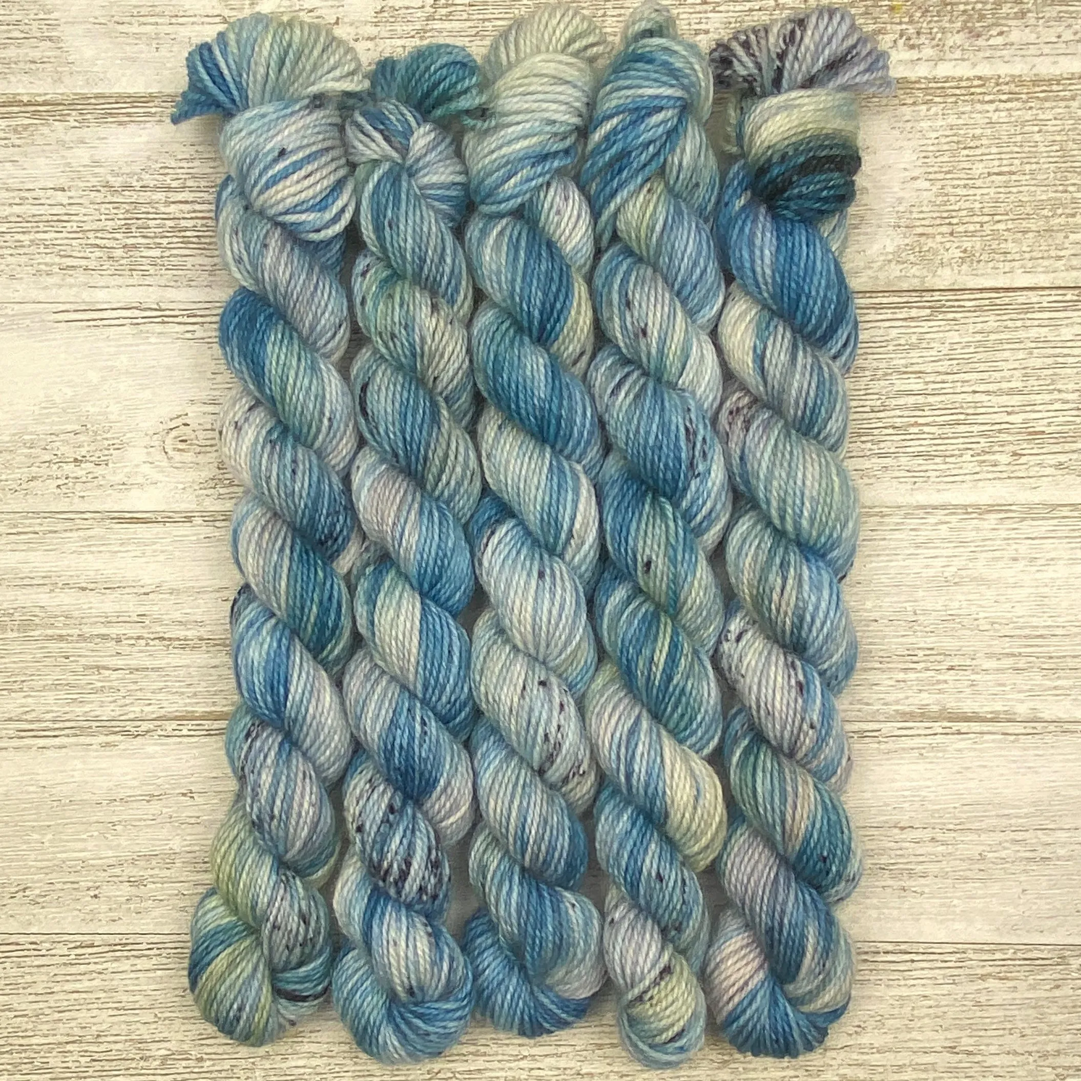 Barbury Sock Mini (20g) - Salish Sea-nery