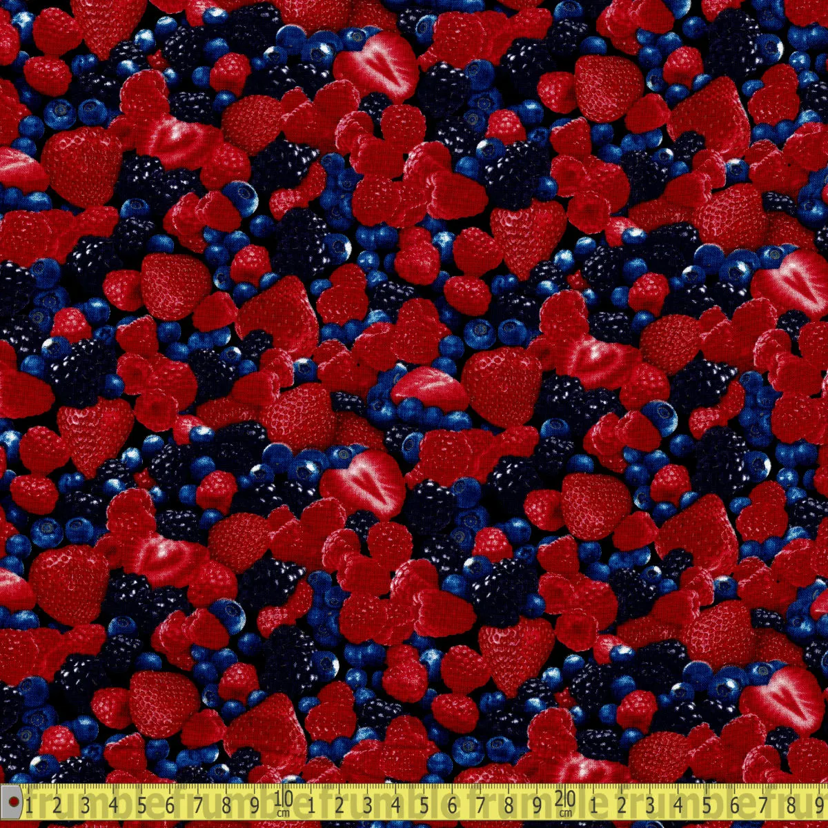 Timeless Treasures Fabric - Summer Berries - Berry